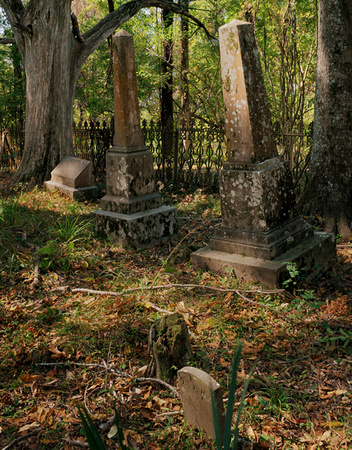 Cemetery, Rodney, MS