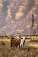 Longhorns and Windmill