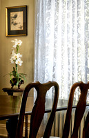 Chair Backs and Curtain, Aldredge House