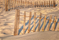 Sand Fence 1, Pensacola Beach