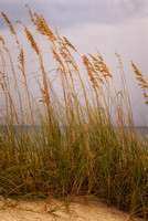 Sea Oats 2, Pensacola Beach