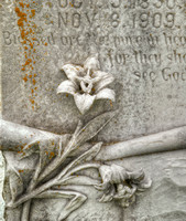 Flower on Headstone