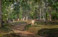 Cemetery, Grand Gulf, MS