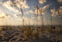 Sea Oats 1, Pensacola Beach